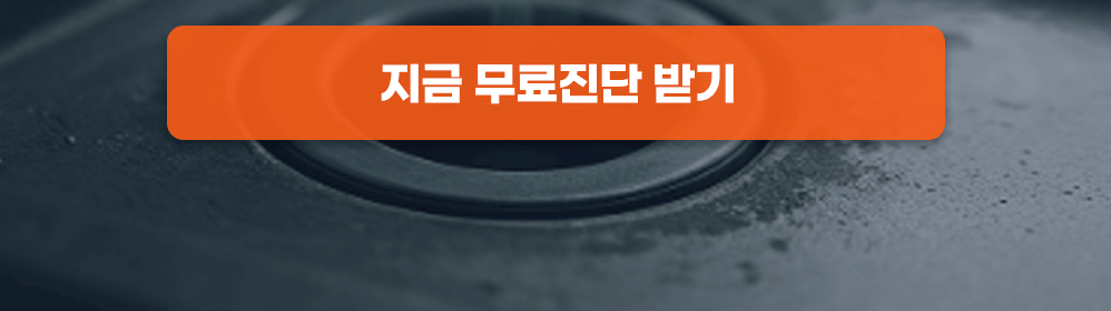 지금 무료진단 받기